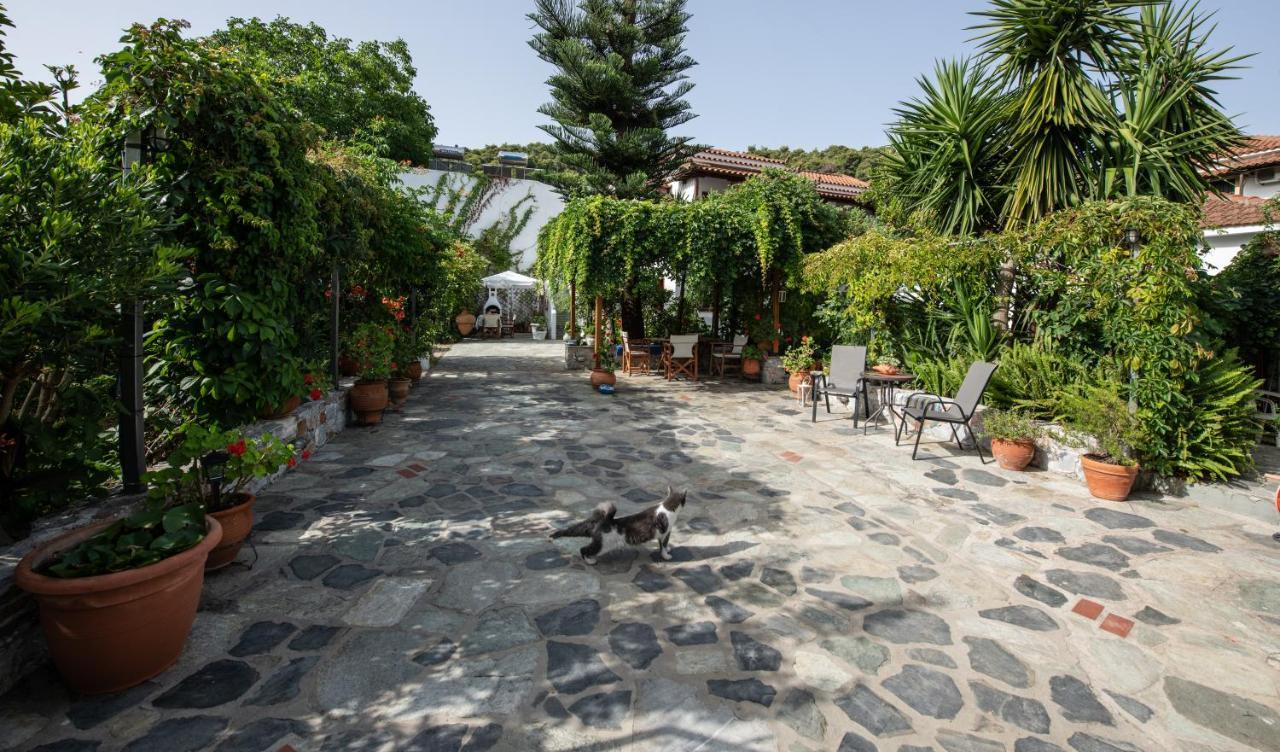 Katikies Stamatias Studios & Maisonettes Agnontas Exterior foto